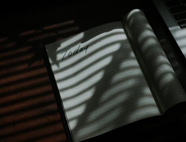 white and black striped textile